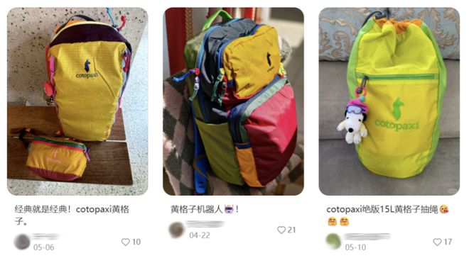 BSports官网“比大姨丝巾还花梢、配色看流水线工人表情”这个「七彩版鼻祖鸟」(图8)
