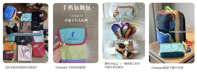 BSports官网“比大姨丝巾还花梢、配色看流水线工人表情”这个「七彩版鼻祖鸟」(图11)