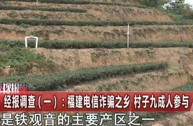Bsports必一体育【江湖】从驻马店、到安溪“十亿群众九亿骗另有一亿在熬炼”(图7)